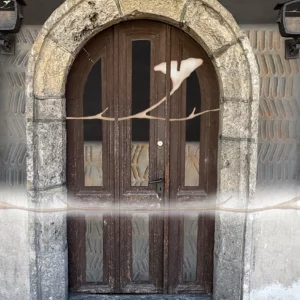 Grille Porte </br>Gaggiographie avec une</br>Oeuvre de JJ.Putallaz